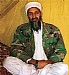 binladen 3337