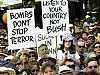 picifismo vs bush (9)