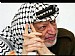 Arafat 3323