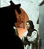 ragazza con un fucile puntato addosso (11)