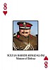 Sultan Hashim Ahmad Al-Tai (8)