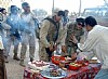 Soladati americani notevolmente affamati (9)
