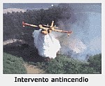 Intervento antincendio 3610