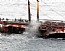 Pesca e alta temperatura, il mare muore così (scheda: 2810)