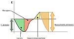 Grafico supercompensazione 3731