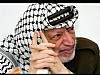 Arafat (1)