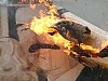 ritratto di Saddam incendiato dagli iracheni stessi (9)