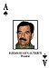 Saddam Hussein 3476
