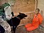 Torture a Abu Ghraib (scheda: 2492)