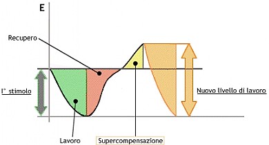 Grafico supercompensazione